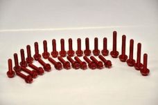 RED ALUMINUM ENGINE BOLT KIT - 2010+ 4T