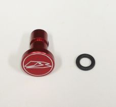 STEERING LOCK PLUG